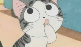 小喵漫画,趣味横生的日常趣事